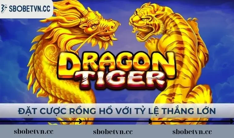 Đặt cược rồng hổ với tỷ lệ thắng lớn