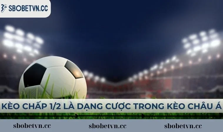 Kèo chấp 1/2 là một dạng cược trong kèo châu Á