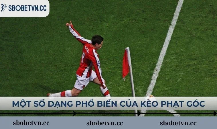 Một số dạng phổ biến của kèo phạt góc